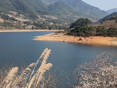 -广州市流溪河国家森林公园