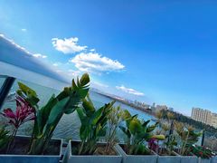-野菌皇海景野生菌火锅(滨海大道店)