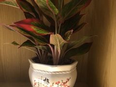 -荷花亭·湖北融合菜(十堰武商MALL店)