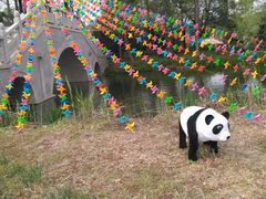 景点-焦山风景区