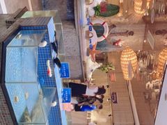 -小天鹅戴斯酒店鲸鲨百汇创作料理