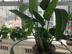 -新航道雅思托福·留学·考研培训(人民广场校区)
