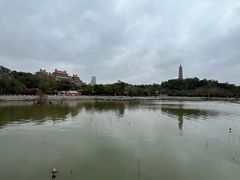 -顺峰山公园
