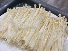 金针菇-濠轩阁特色生蚝火锅(水湾路店)