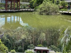 -广州神农草堂中医药博物馆