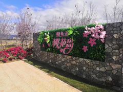 -福建鲤鱼洲酒店