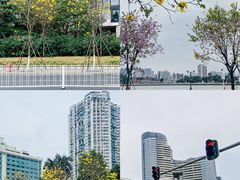 -洲头咀公园