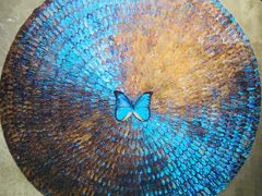 -上海昆虫博物馆