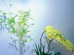 -十二舍·湯物素煮(江泰潤政店)