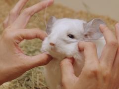 -龙猫仔乐园(惠福东路店)