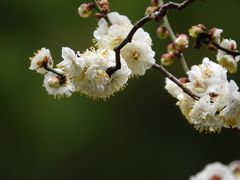 -静安雕塑公园