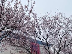 -瑞幸咖啡(绿地新都会9号楼店)