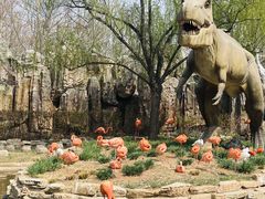 -北京野生动物园