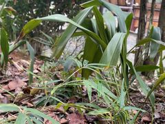 -明月山天沐温泉度假村