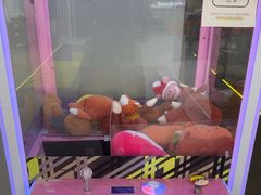 -上海浦东smart汽车全功能店(金桥店)