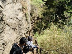 -王顺山国家森林公园
