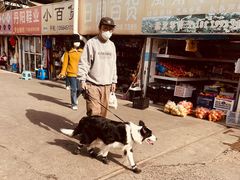 -浦商菜市场·锦德店
