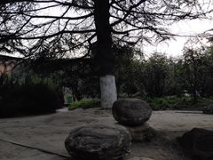 景点-西安市纺织公园