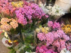 -双季花艺园艺市场(浦东店)