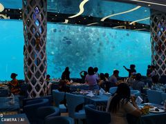 -瑞德姆美人鱼海底演艺主题餐厅(亚龙湾店)