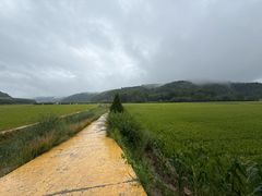 -南泥湾风景区