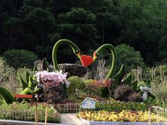 -黔灵山公园