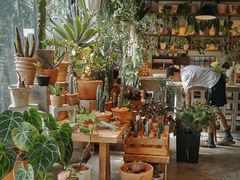 -自由生长植物工作室(深港花卉中心店)