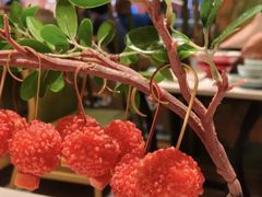 -奔跑吧陕菜·盛世长安(民乐园万达店)