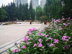 -温江公园