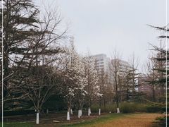 -建国门(地铁站)