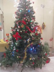 -芳朵美容养生SPA