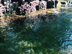 -水磨沟公园