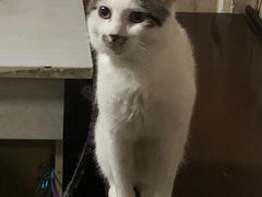 -御一坊盲人推拿(青年路店)