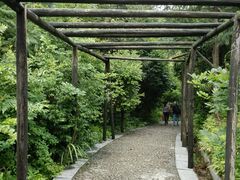 android_upload_pic-石台牯牛降景区