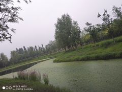 -东郊湿地公园