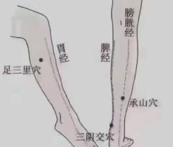 -香薇妮丝女子减肥院