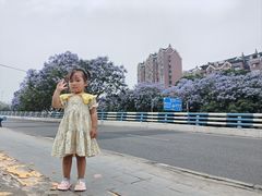 -龙头寺公园