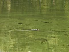 -滨湖塘西河公园