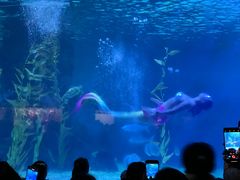 -常州海昌海洋探索馆