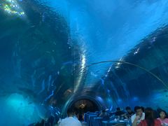 -海棠湾洲际-涛·海底餐厅·美人鱼·自助餐·海底隧道