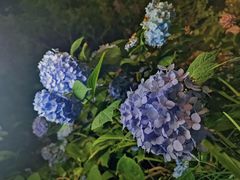 -常州古运河南大街文化旅游区-人民公园