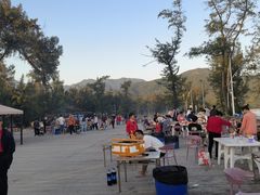 -西涌国际滨海旅游区