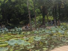 -曼听御花园