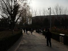 -康庄公园