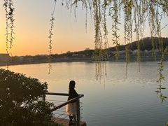 -羊山湖公园