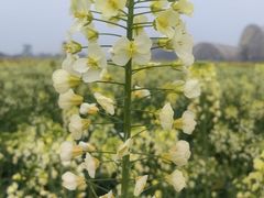 -中国天府农业博览园