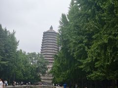-玲珑塔公园