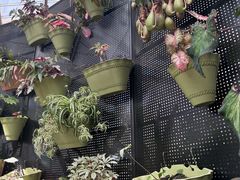 -上海鲜花港