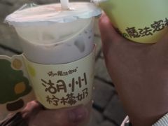 -猫的魔法密林(衣裳街店)