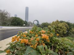 -厦门园林博览苑